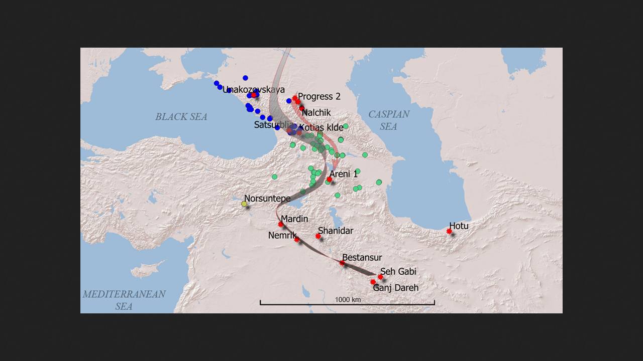 Палеогенетики прочитали ДНК представителя первых земледельцев Северного Кавказа