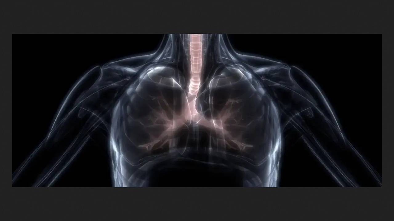 AI using ultrasound detects lung disease and its type with 97% accuracy