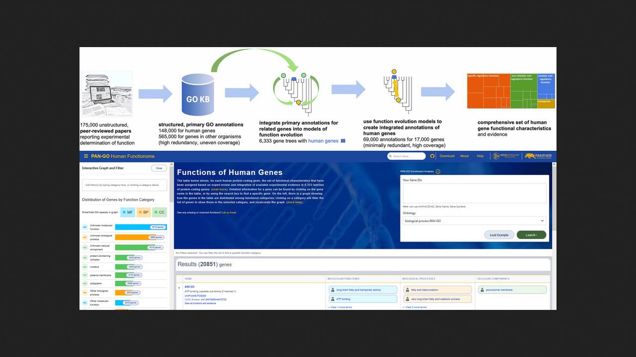 Catalog of human gene functions made publicly available