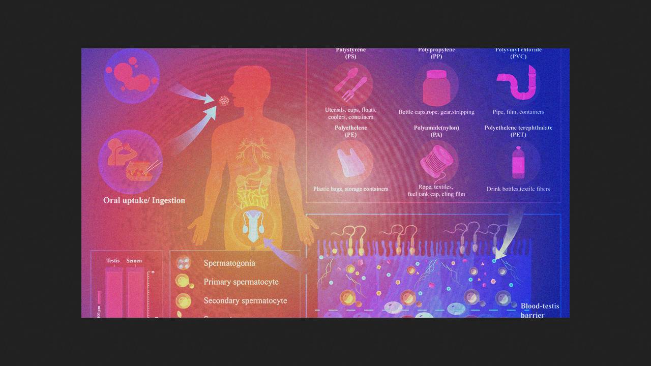 Microplastics Found Again in Human Reproductive Fluids