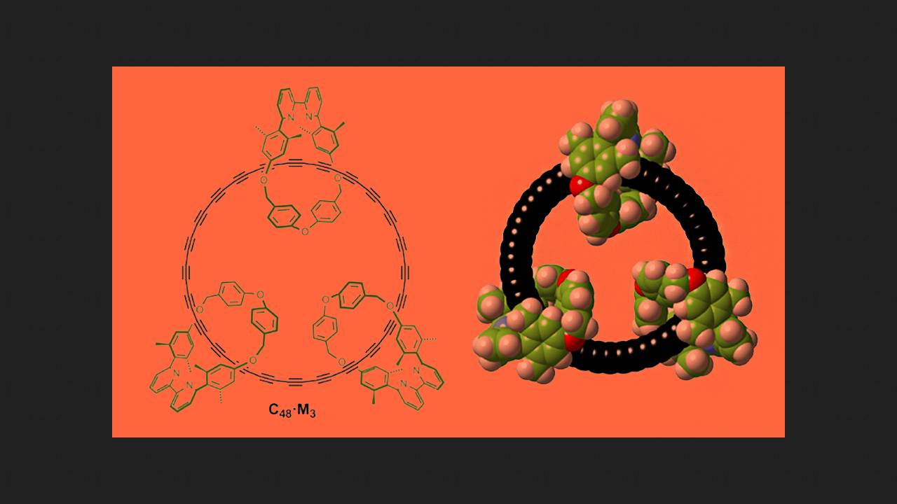 A 48-carbon ring survived in solution