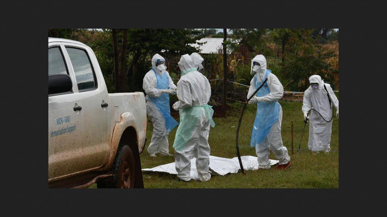 Ethiopia reports first outbreak of Marburg fever