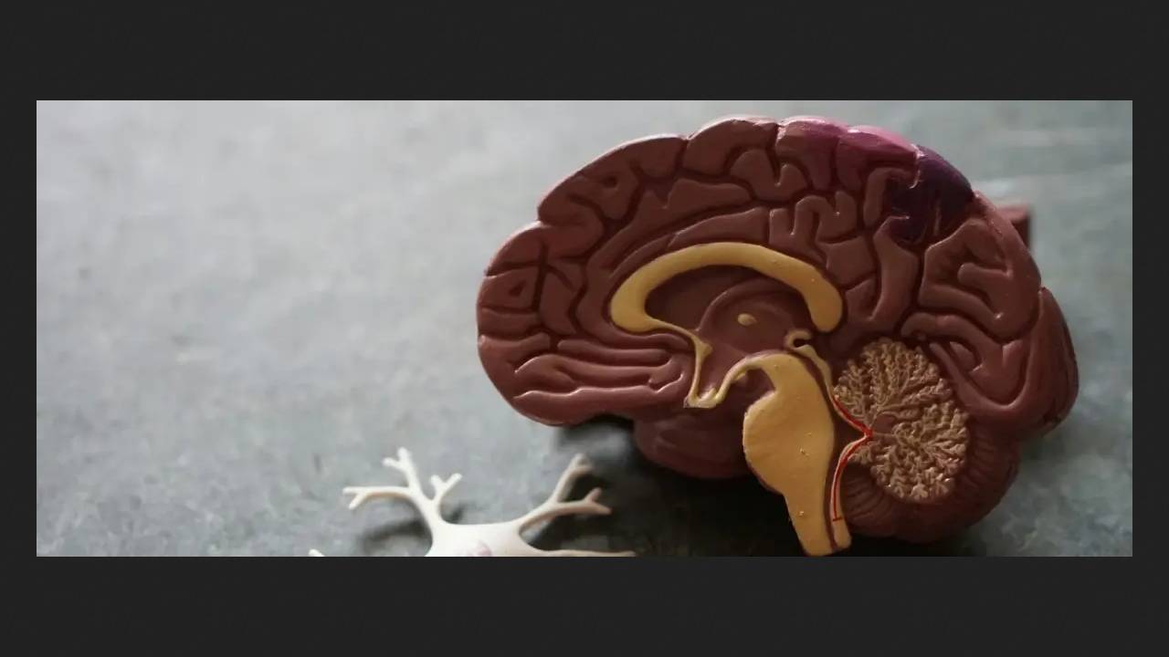 Molecule found that reverses memory loss in Alzheimer's disease