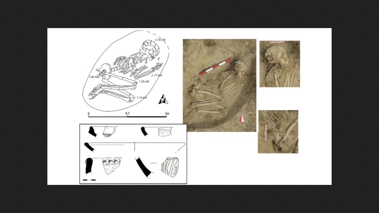 Доисторический европеец пострадал при нападении льва