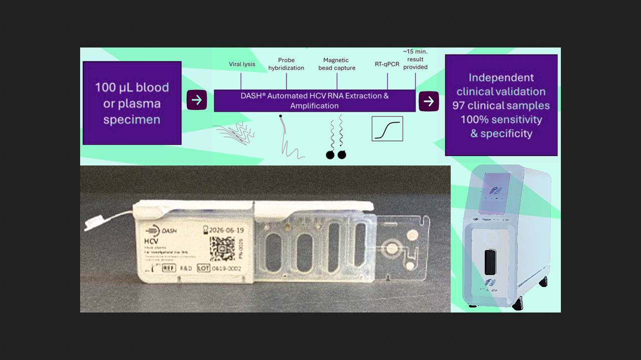 Rapid test detects hepatitis C in 15 minutes
