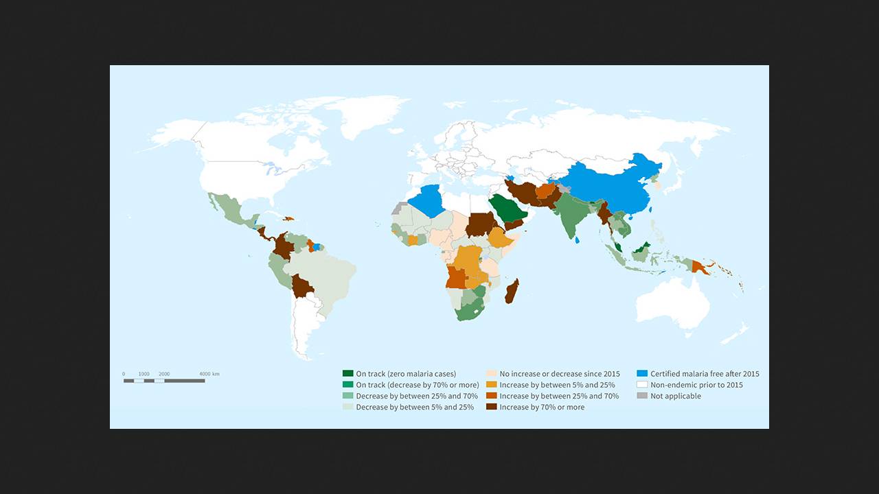 Заболеваемость малярией в мире в 2024 году выросла до 282 миллионов случаев