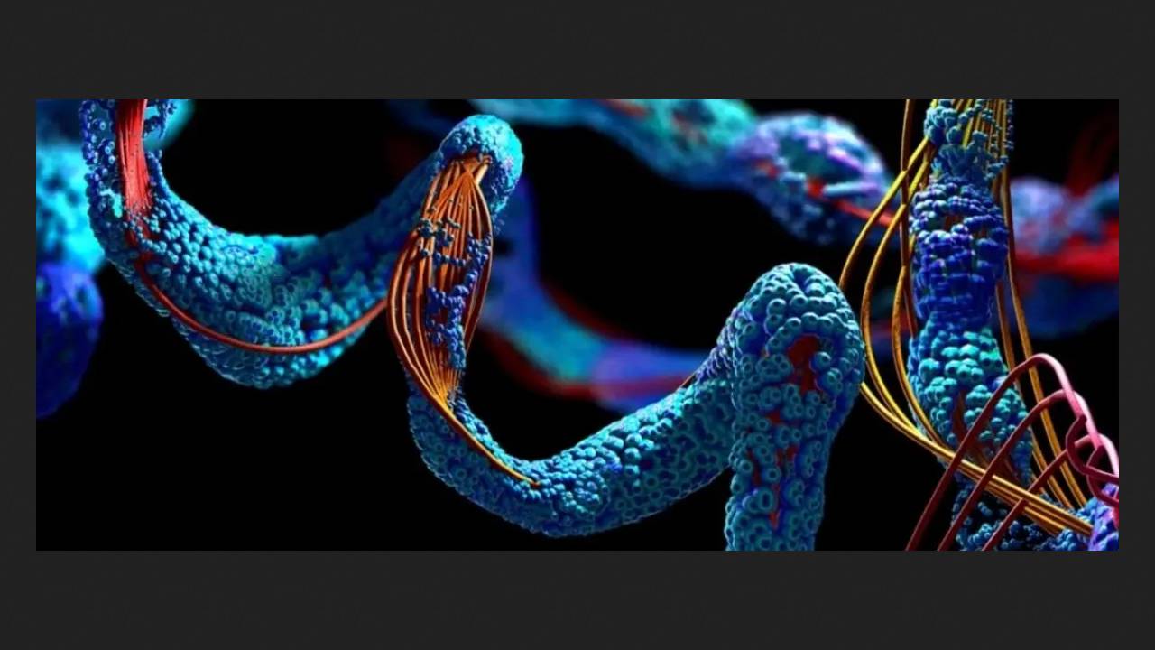 Танцюючі молекули відновлюють спинний мозок після травм