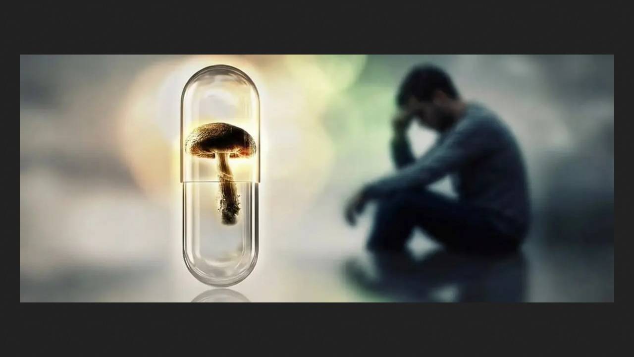 Psychedelics restore brain structures in PTSD