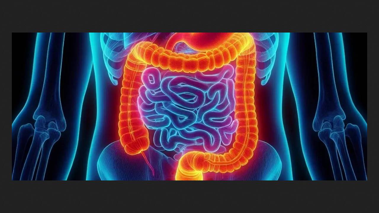 Низкобелковая диета и бактерии кишечника перепрограммируют белый жир в бурый